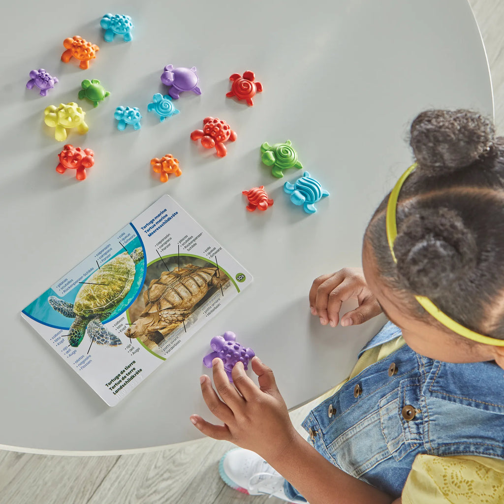 Tactile Turtles Math Activity Set