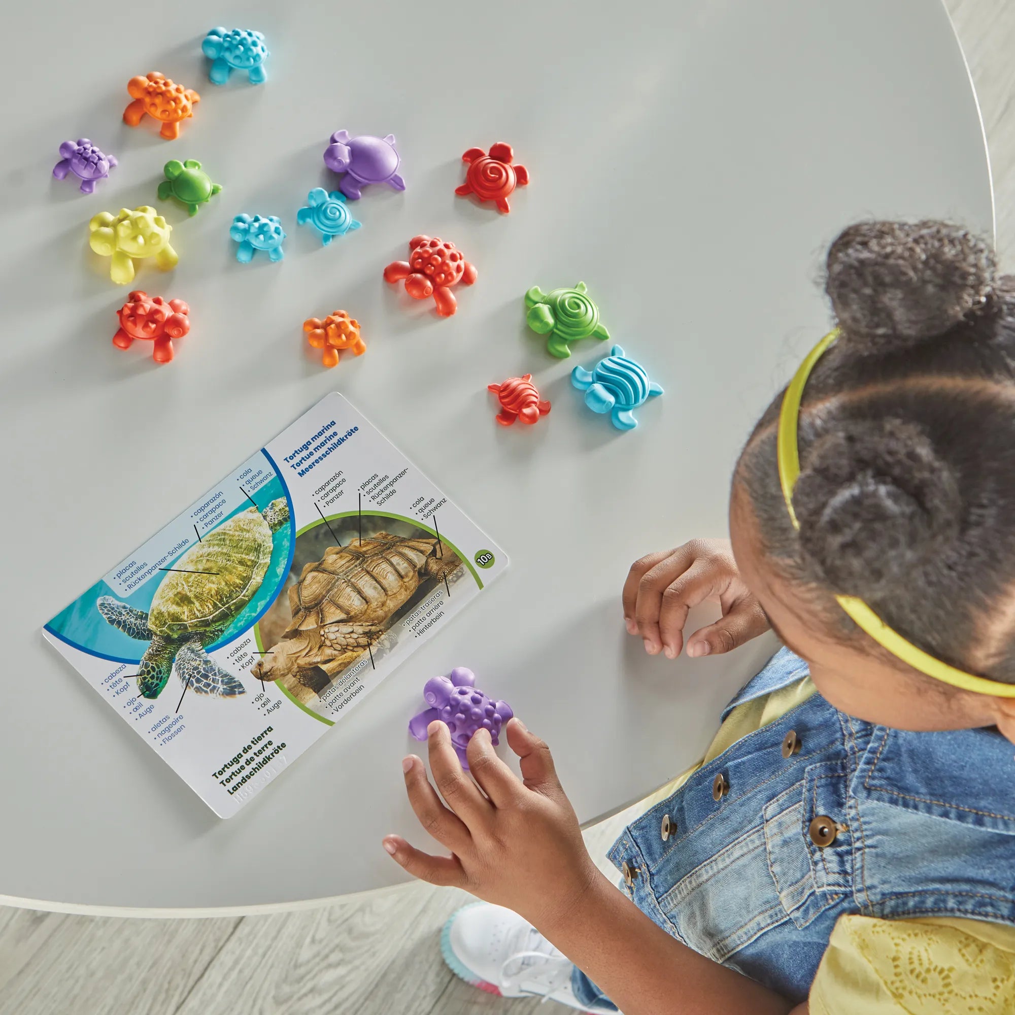 Tactile Turtles Math Activity Set