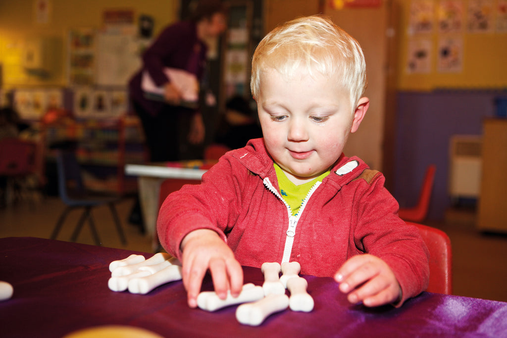 Dinosaur Bones Discovery Set