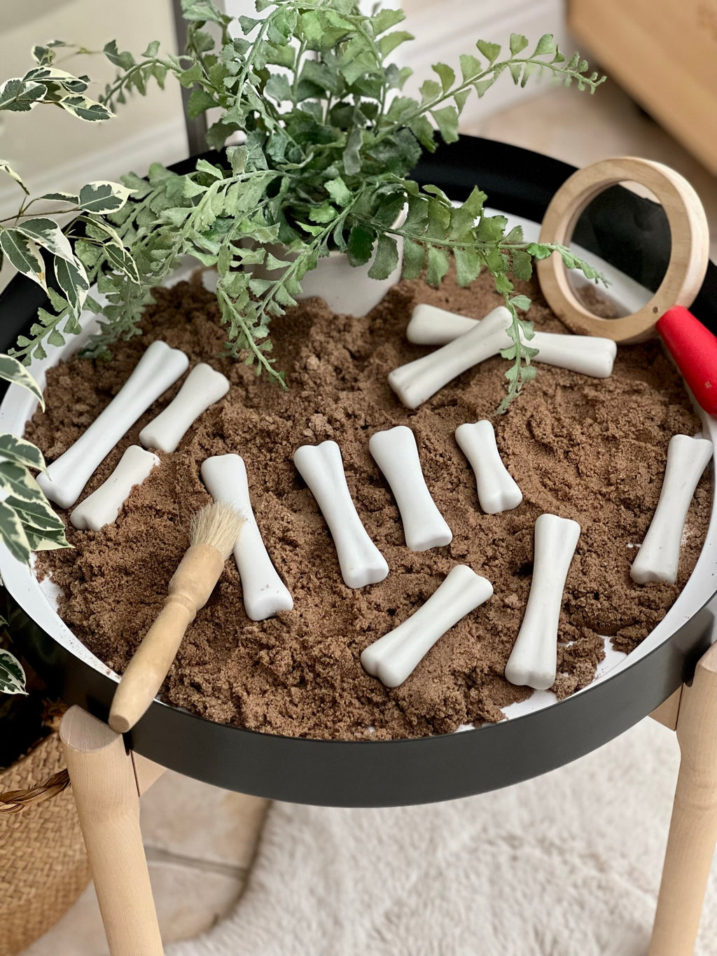 Dinosaur Bones Discovery Set