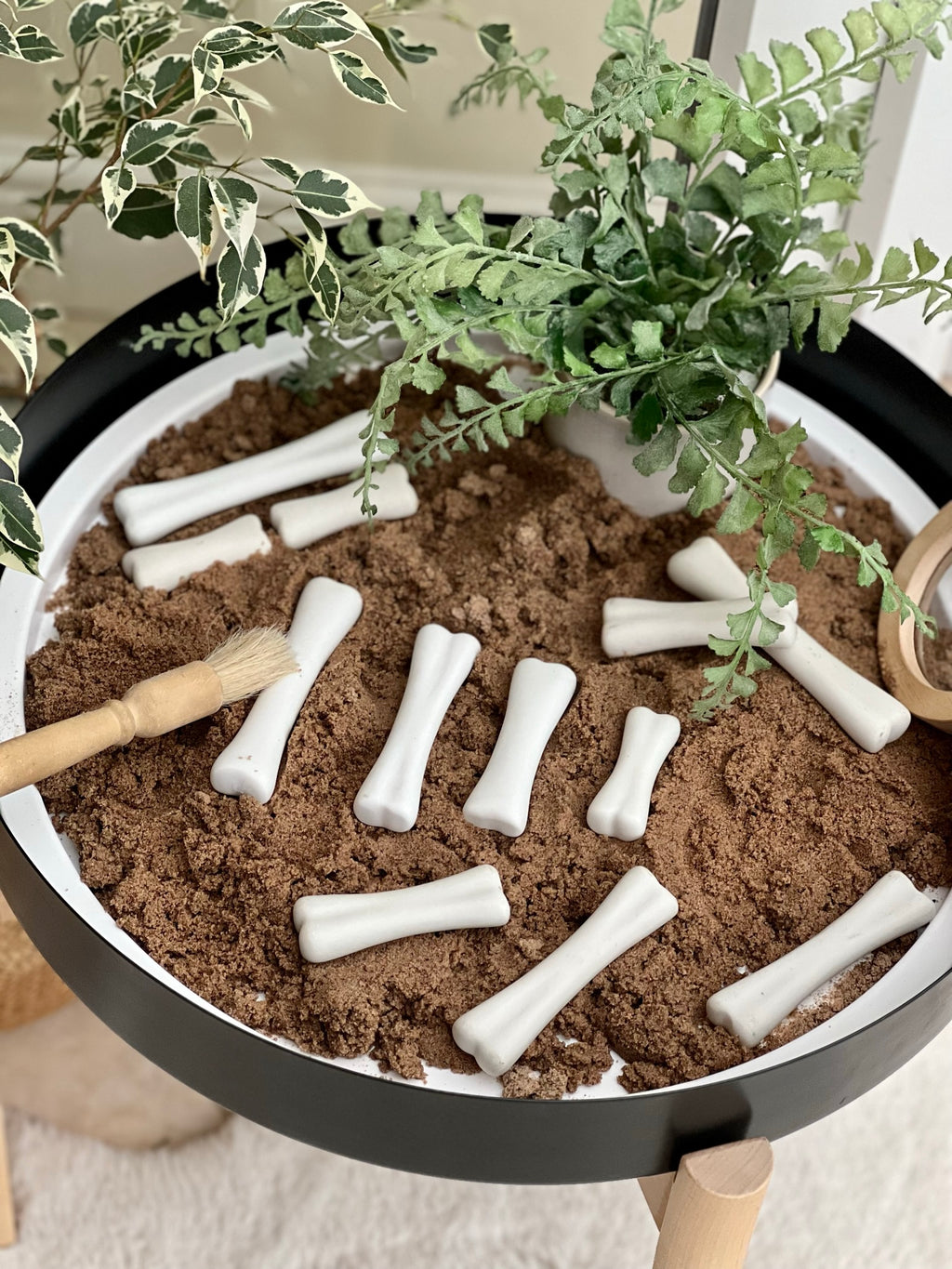 Dinosaur Bones Discovery Set