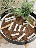 Dinosaur Bones Discovery Set