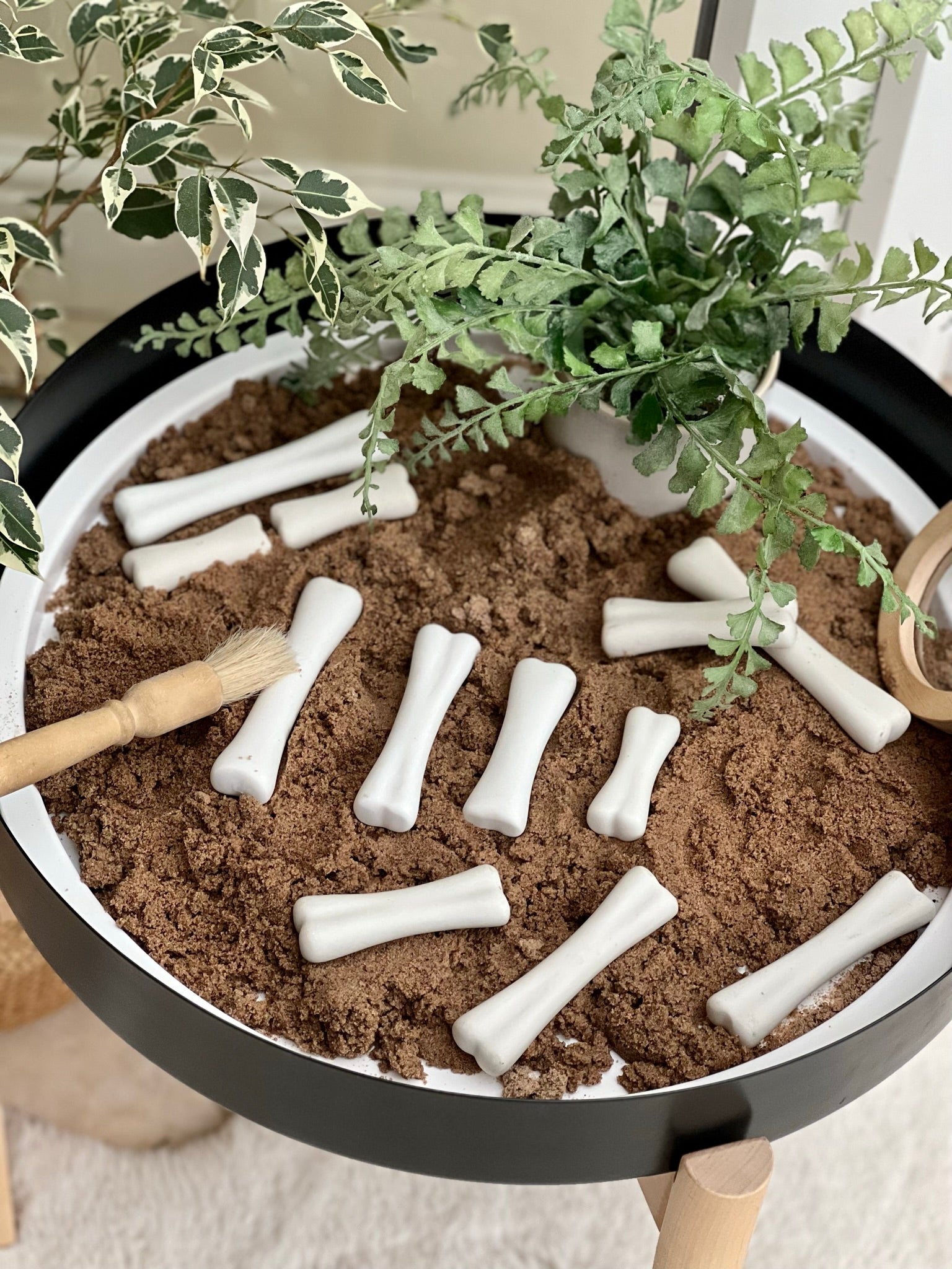 Dinosaur Bones Discovery Set