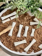 Dinosaur Bones Discovery Set