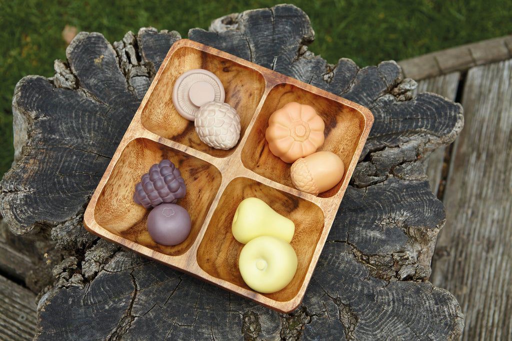 Sensory Play Set Feast of Nature