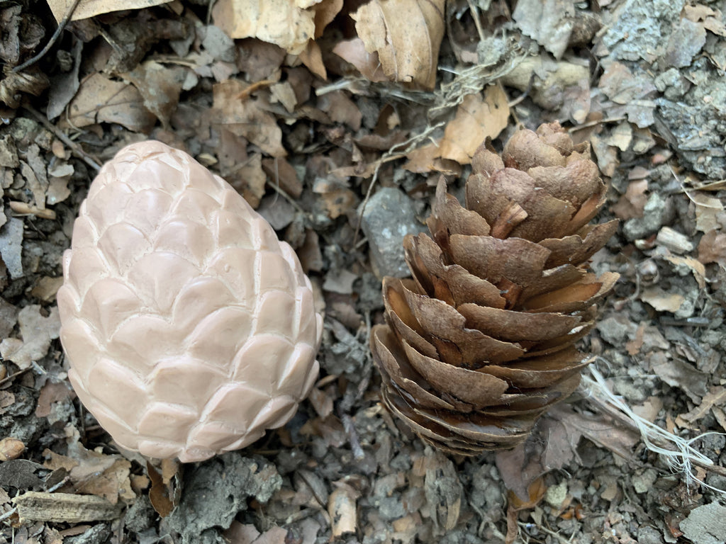 Sensory Play Set Feast of Nature
