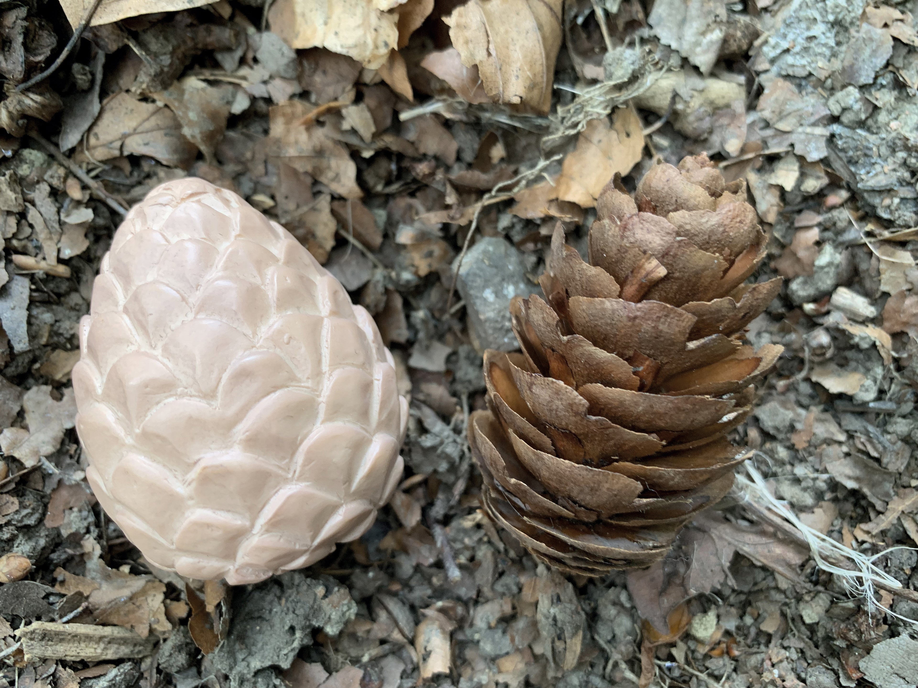 Sensory Play Set Feast of Nature