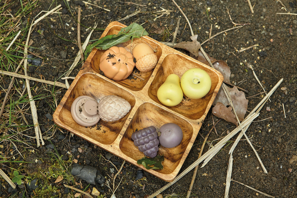Sensory Play Set Feast of Nature
