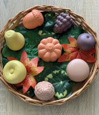 Sensory Play Set Feast of Nature