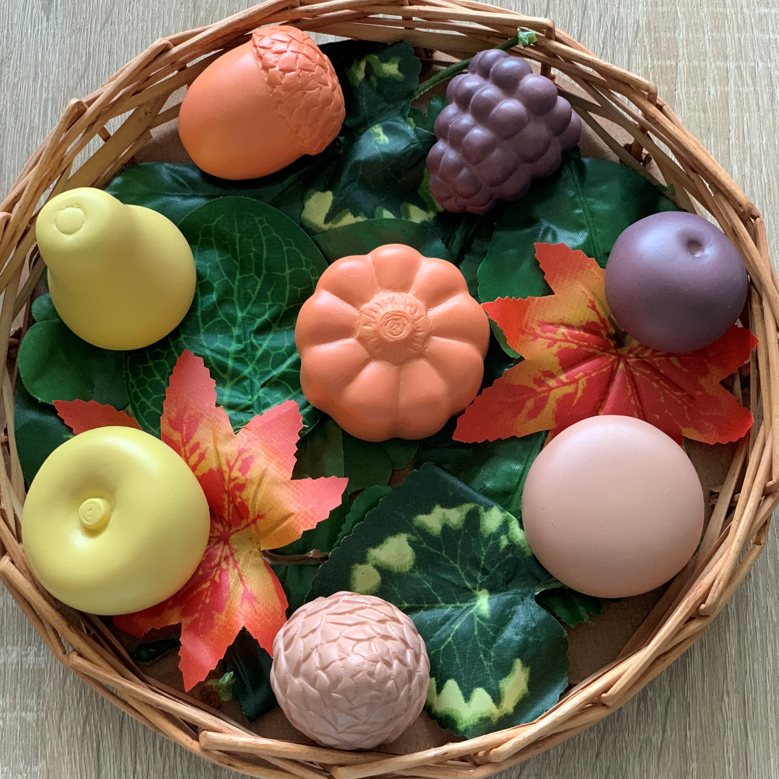 Sensory Play Set Feast of Nature