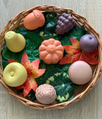 Sensory Play Set Feast of Nature