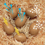 Sensory Sound Egg