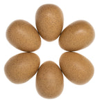 Sensory Sound Egg
