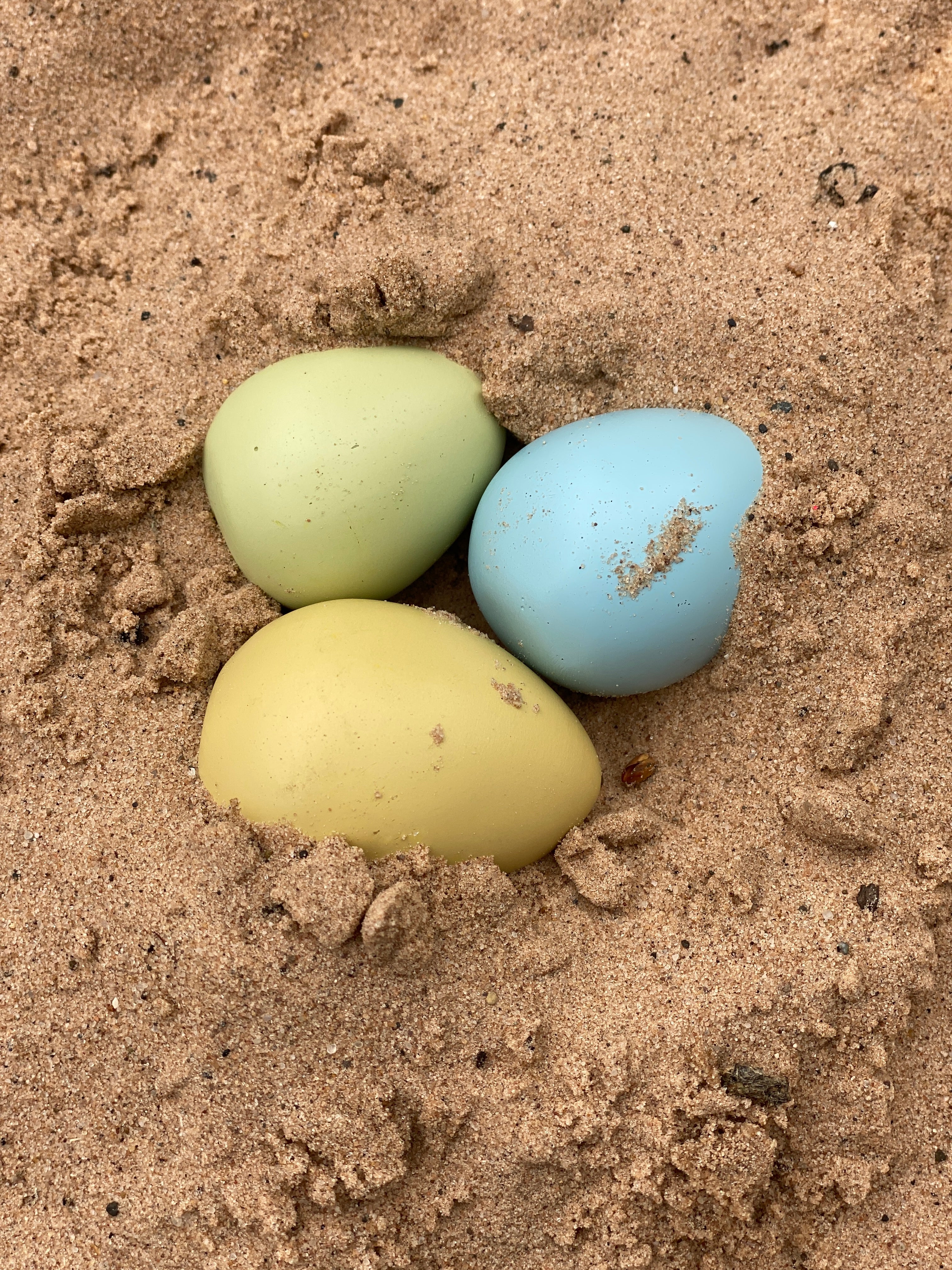 Size-Sorting Eggs