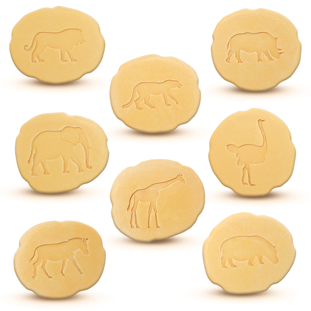 Let’s Investigate – Safari Footprints