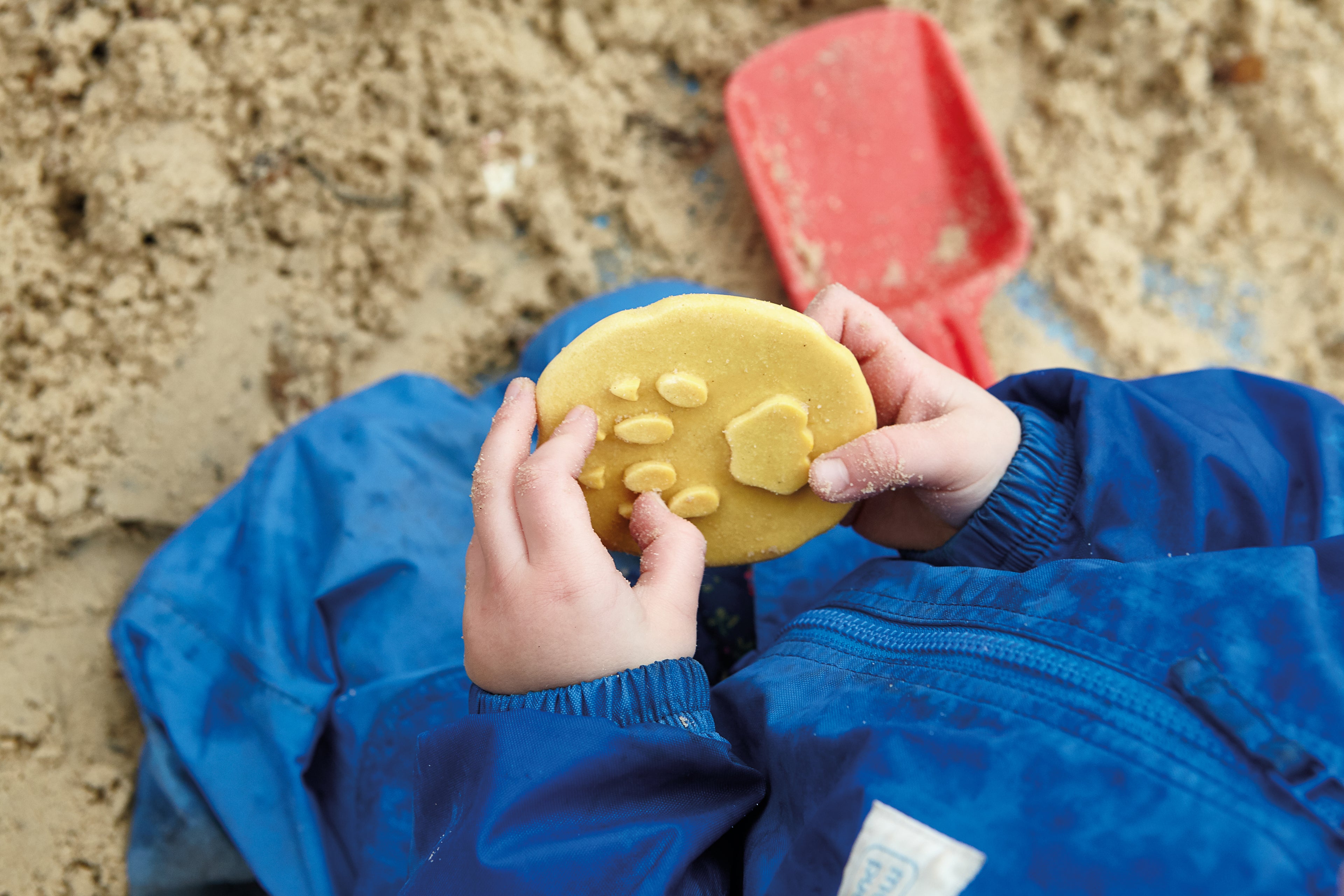 Let’s Investigate – Safari Footprints