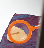 Let’s Investigate – Safari Footprints