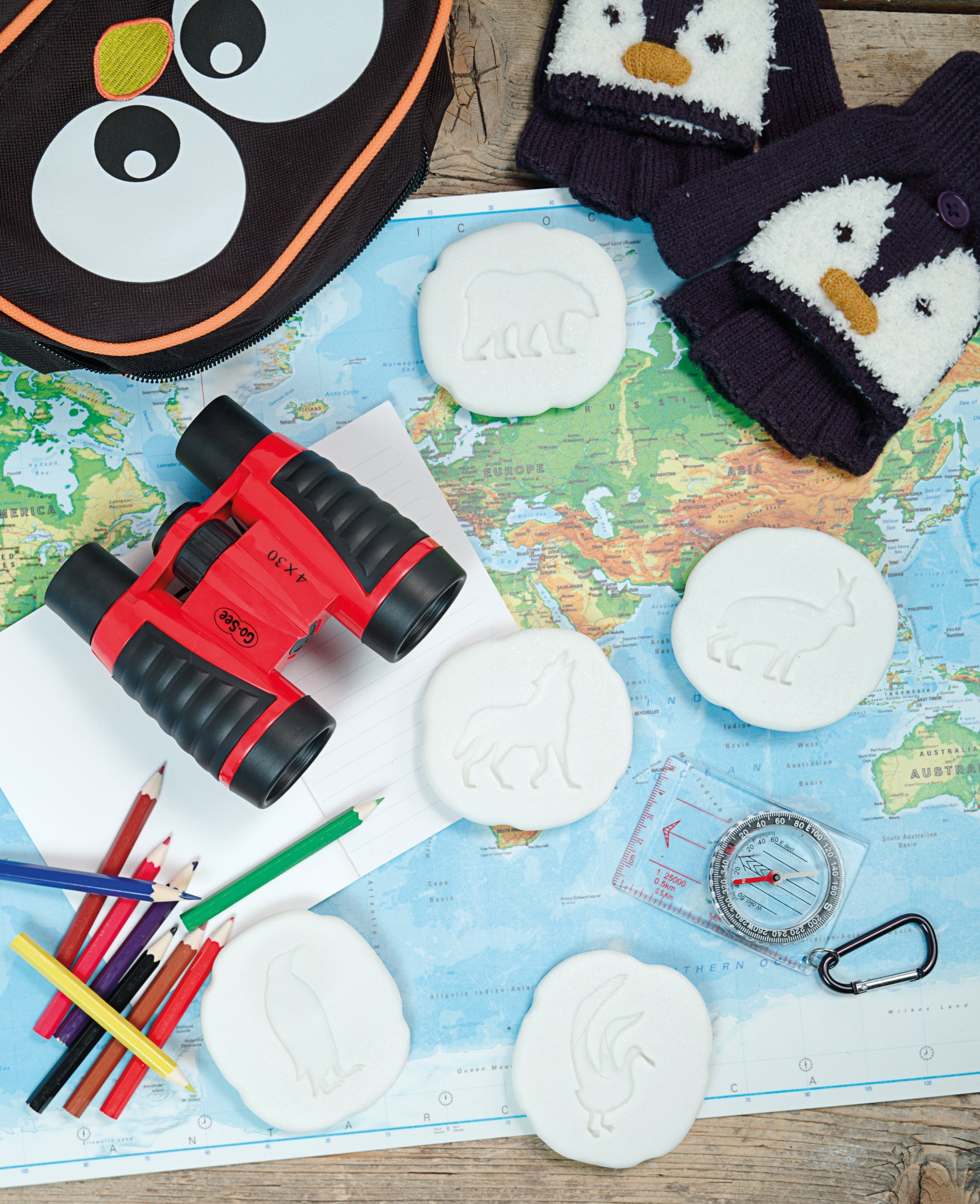 Let’s Investigate pooldieren