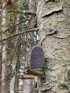 Little Lands Bos