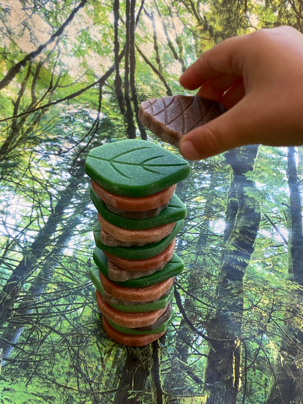 Scenery Stones Forest Play