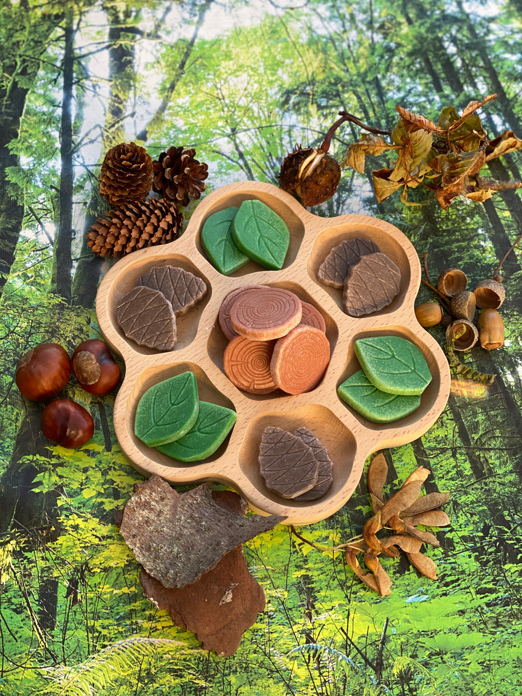 Scenery Stones Forest Play