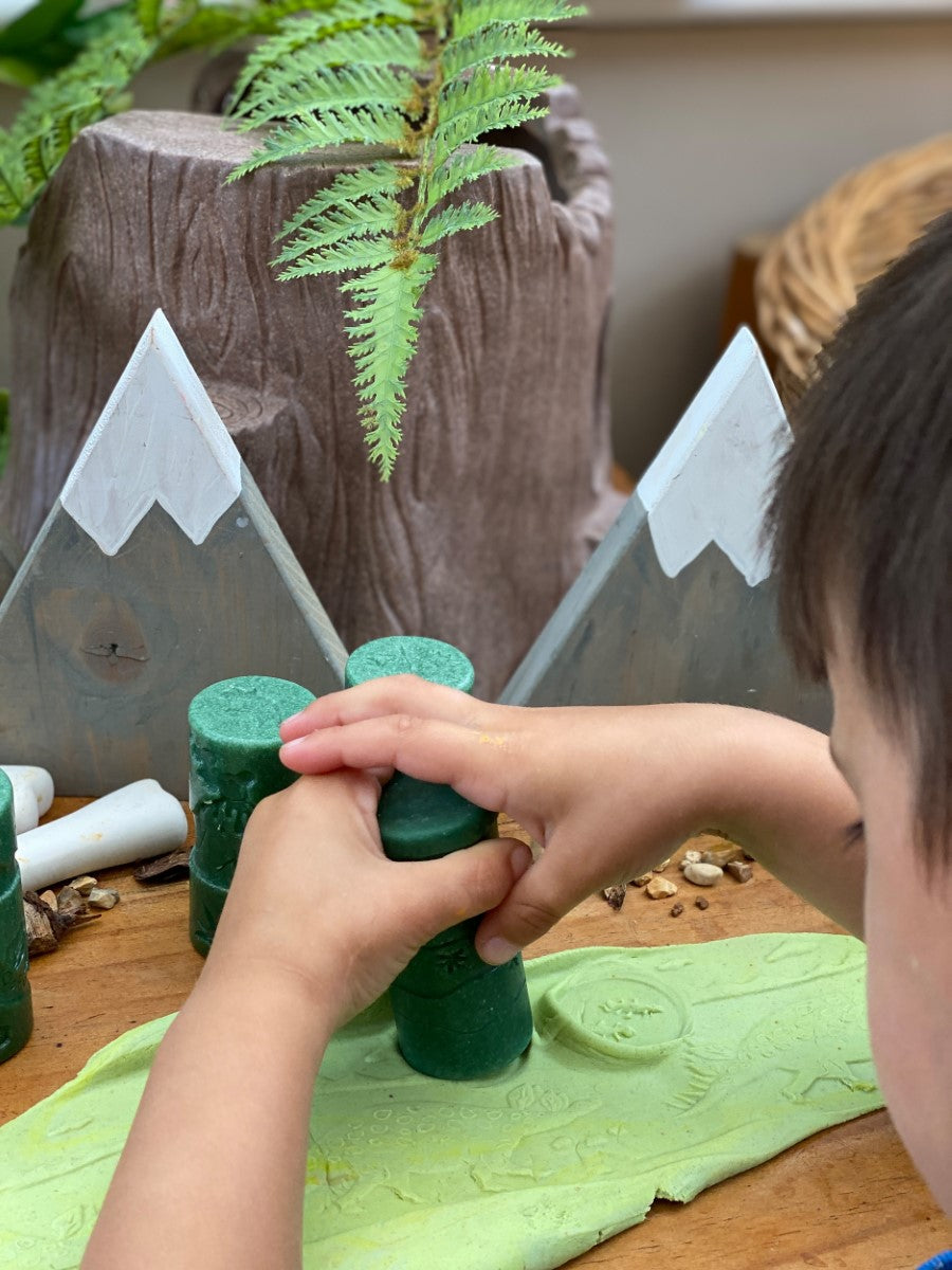 Yellow Door 6 rollers dinosaurussen