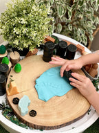 Let’s Roll  transport