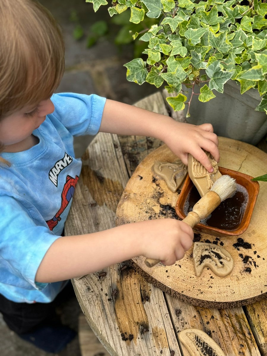 Triceratops & Spinosaurus