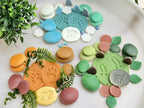 Natural Sorting Stones Nature Collection