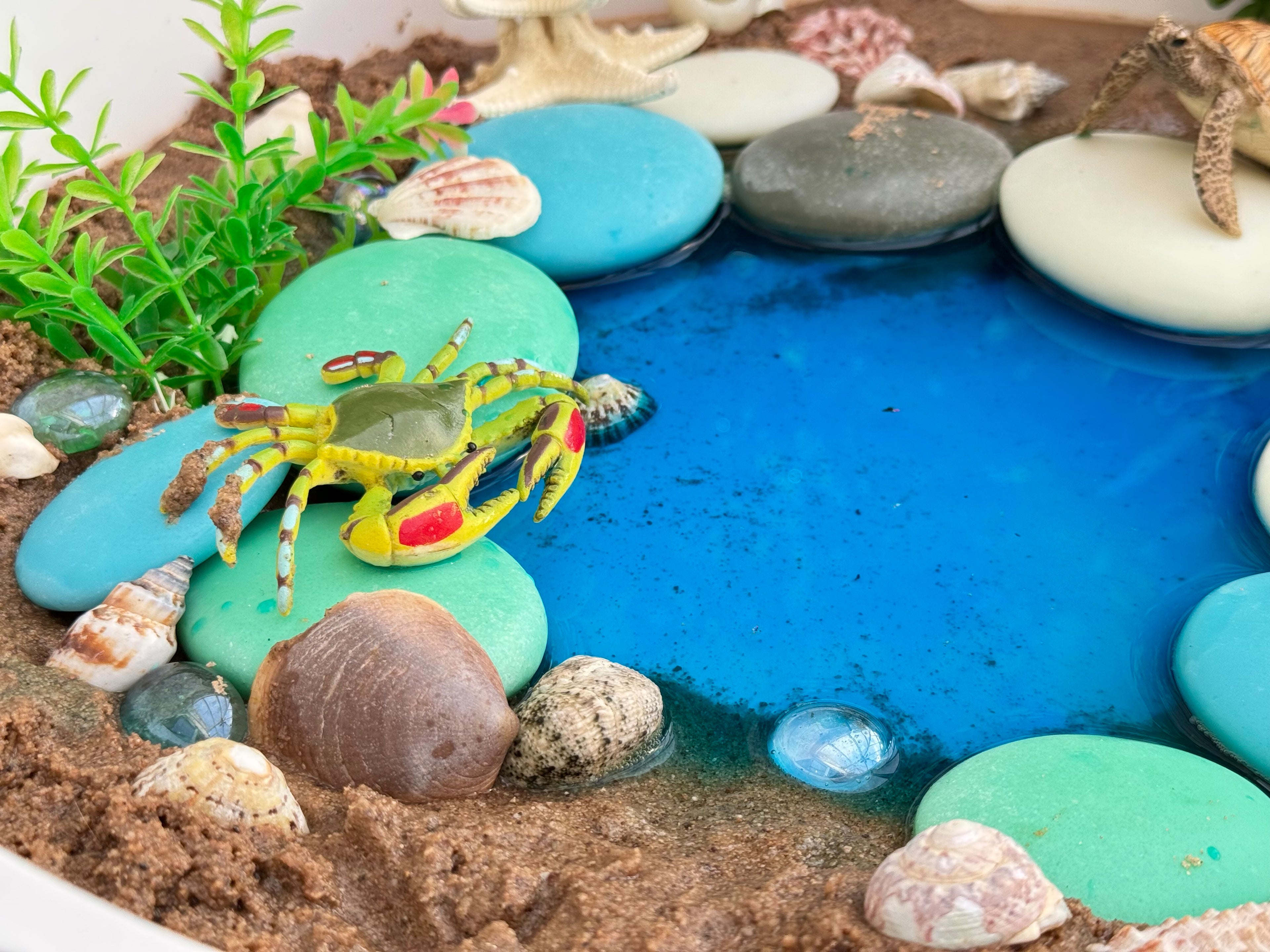 Natural Sorting Stones Nature Collection