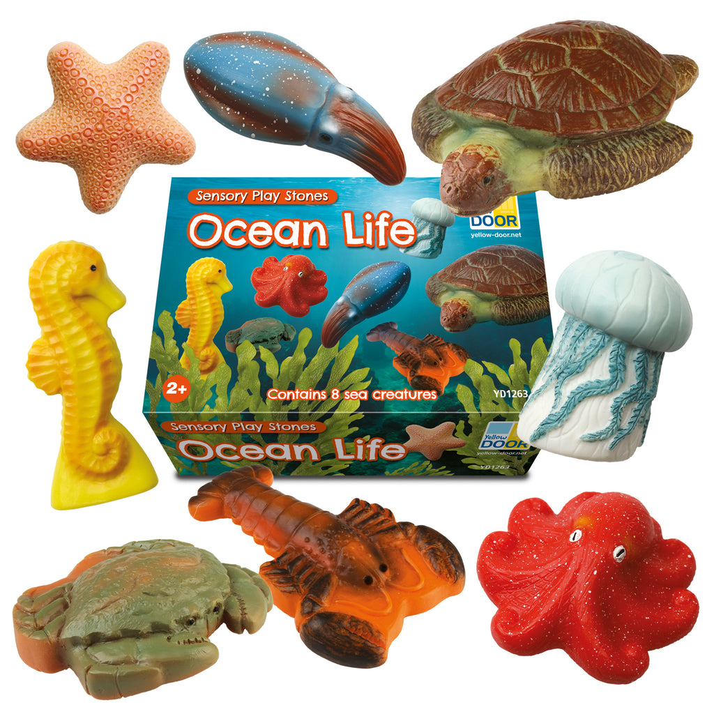 Sensory Play Stones Oceaan leven