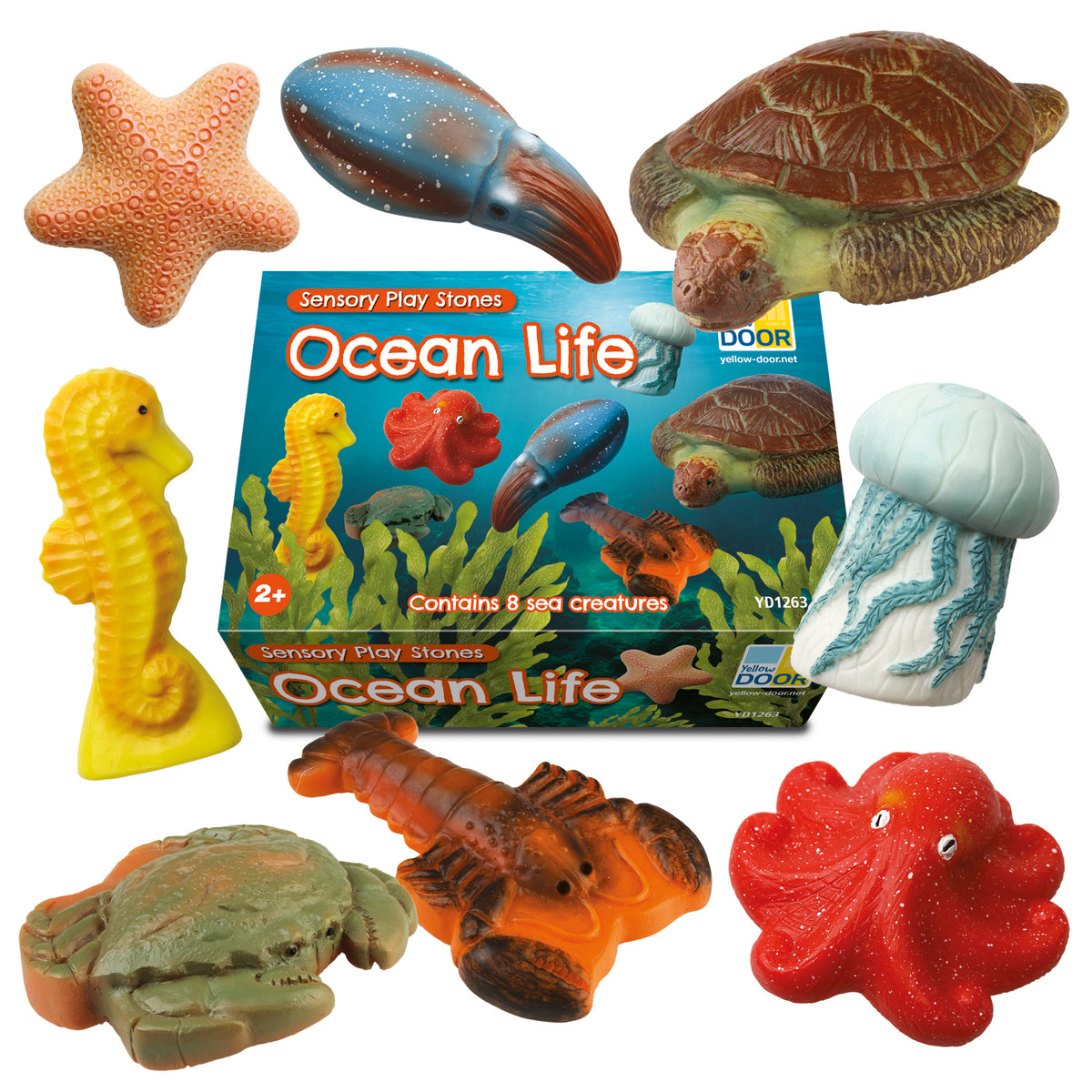 Sensory Play Stones Oceaan leven