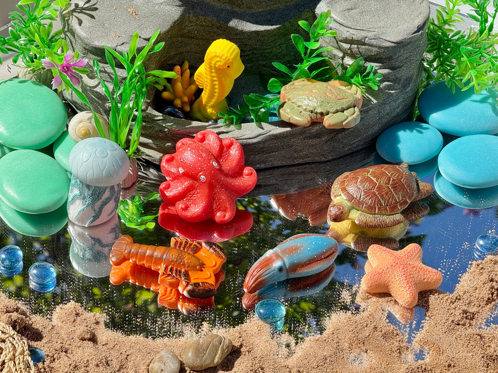 Sensory Play Stones Oceaan leven