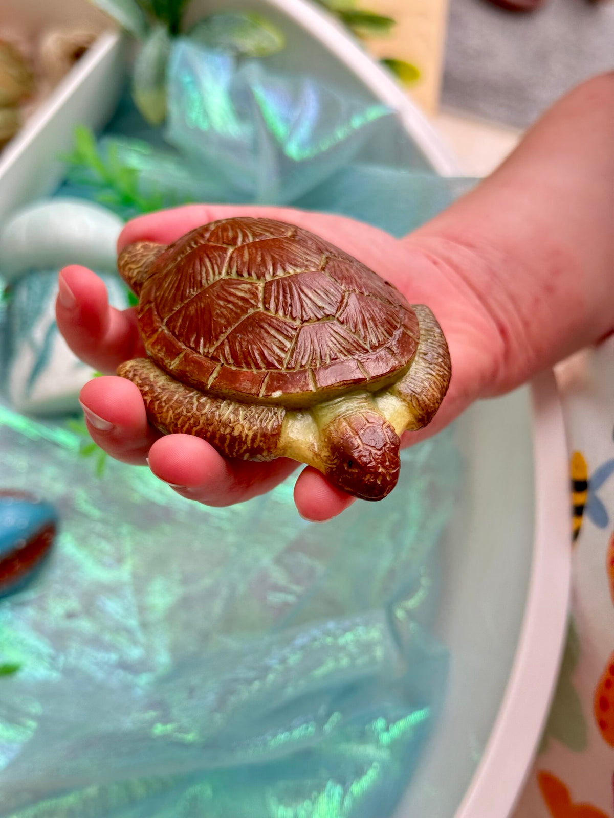 Sensory Play Stones Oceaan leven