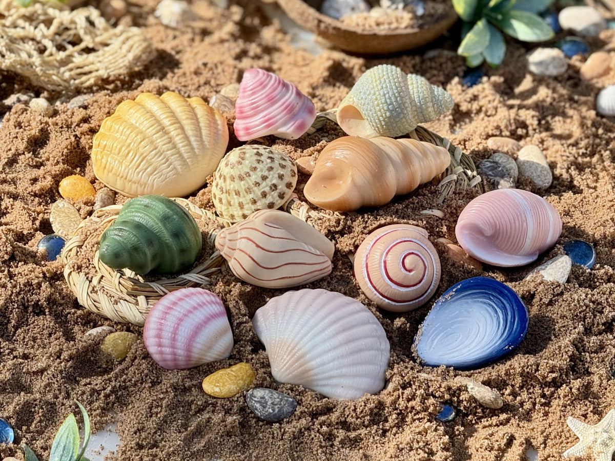 Sensory Play Stones Zeeschelpen