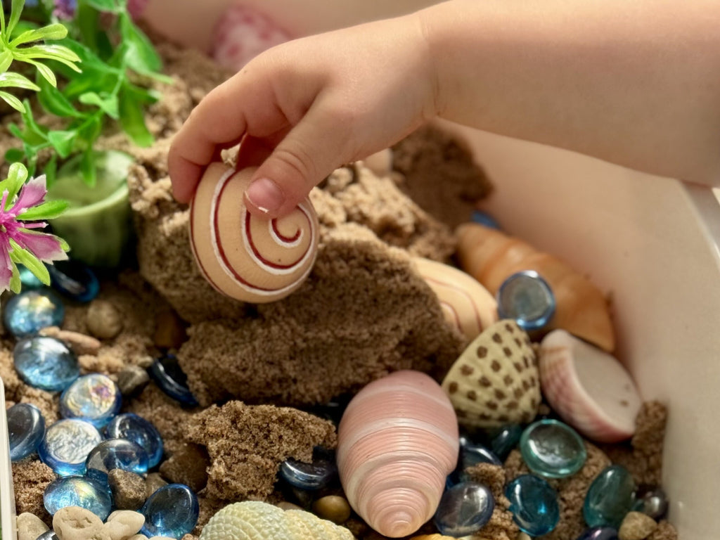 Sensory Play Stones Zeeschelpen