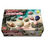 Sensory Play Stones Zeeschelpen