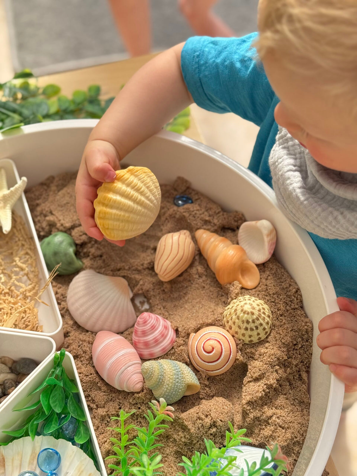 Sensory Play Stones Zeeschelpen