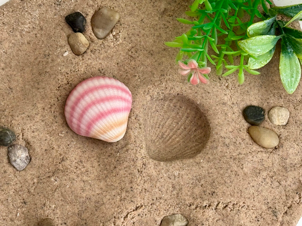 Sensory Play Stones Zeeschelpen