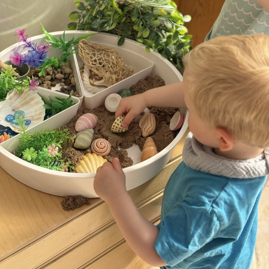 Sensory Play Stones Zeeschelpen