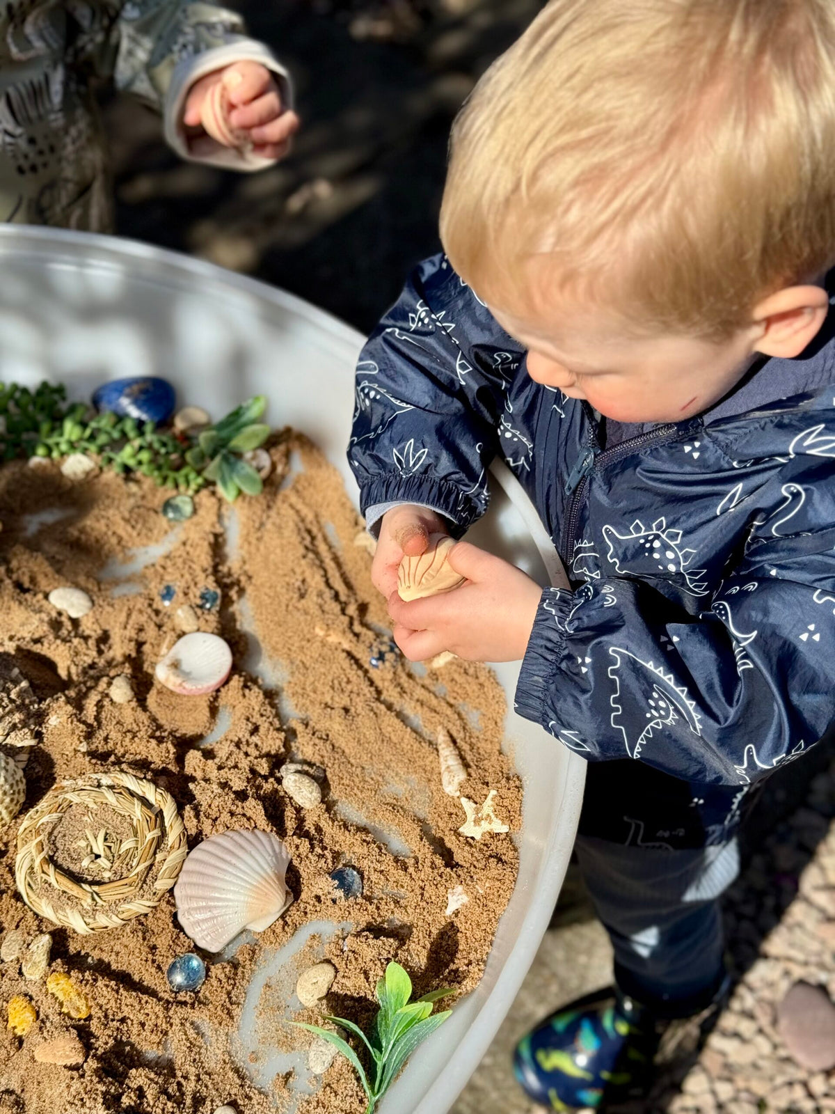 Sensory Play Stones Zeeschelpen