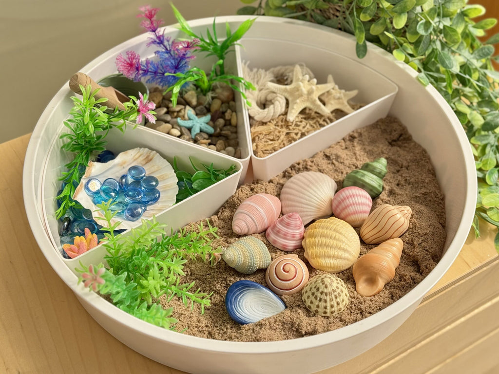Sensory Play Stones Zeeschelpen