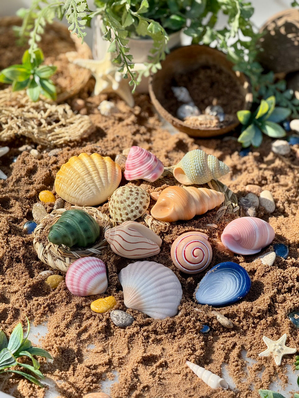Sensory Play Stones Zeeschelpen