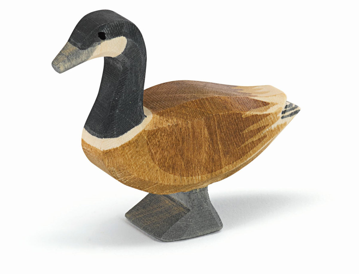 Canada gans staand