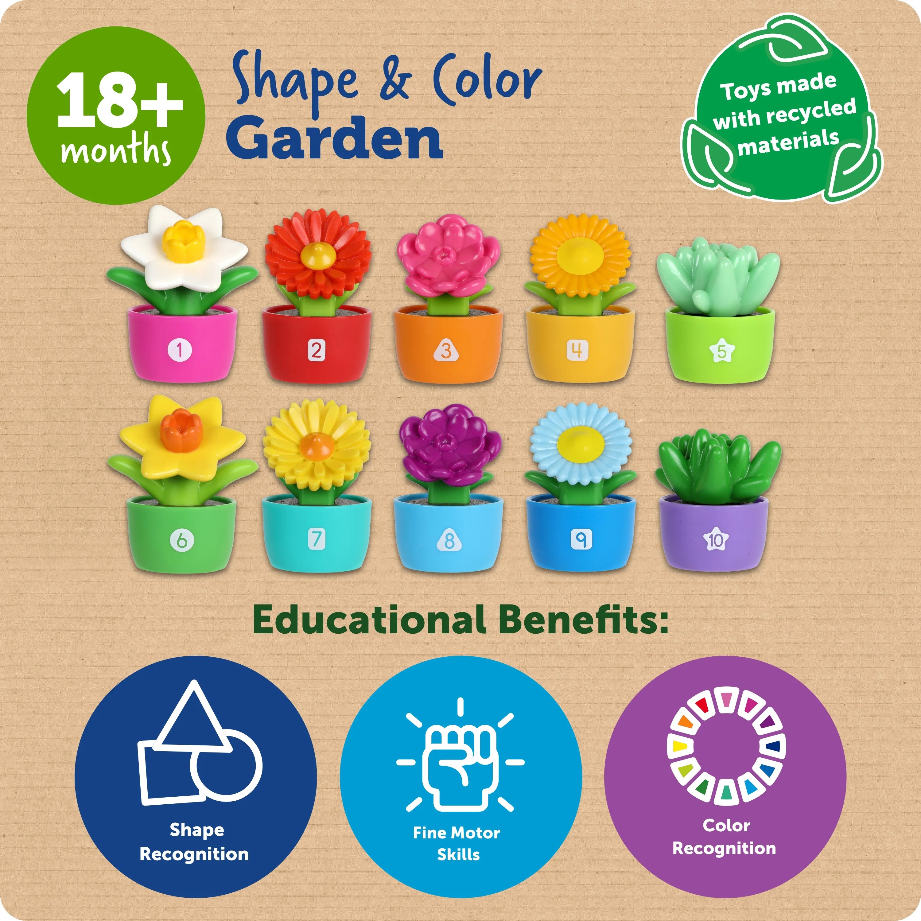Shape & Colour Garden