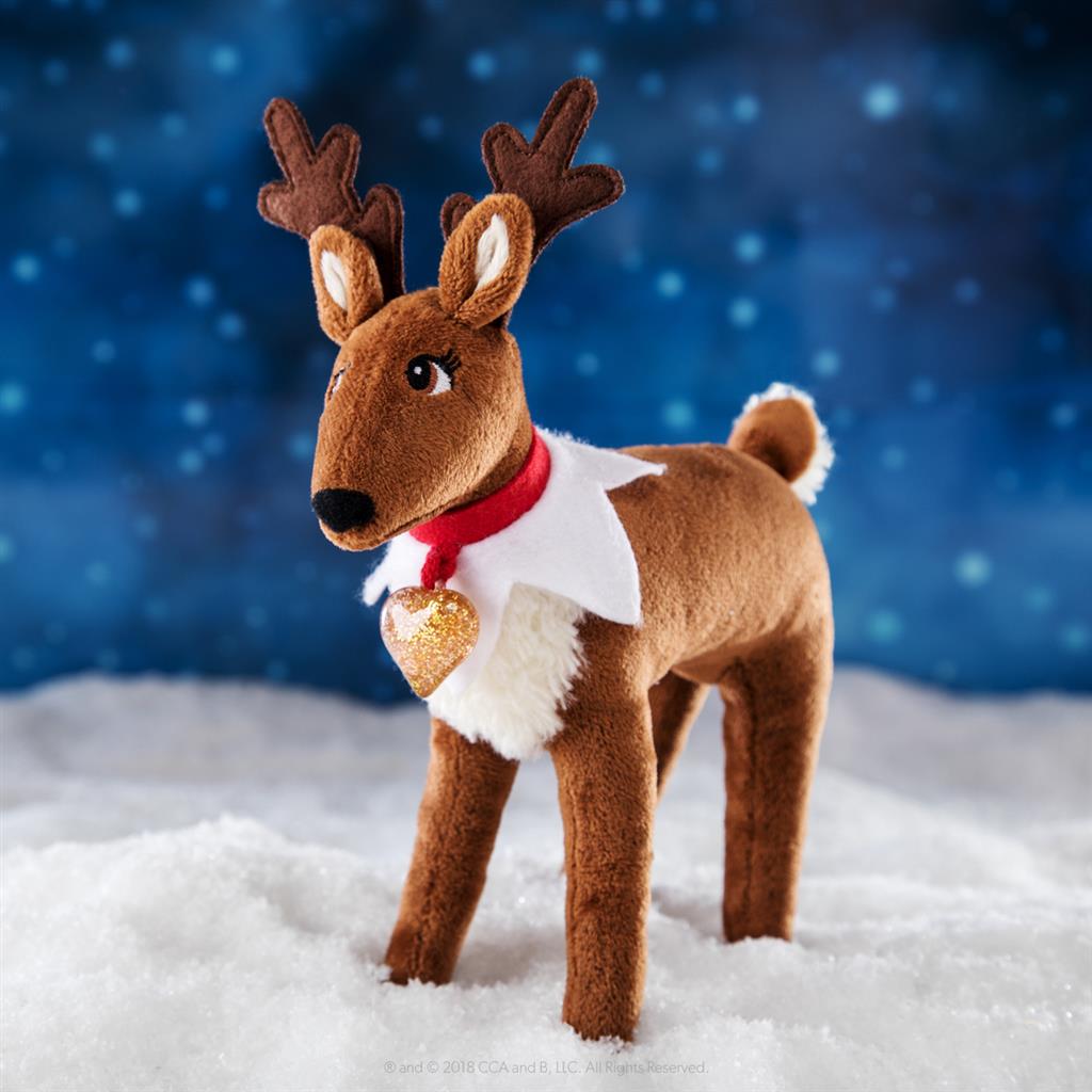 Rendier Traditie Franstalig