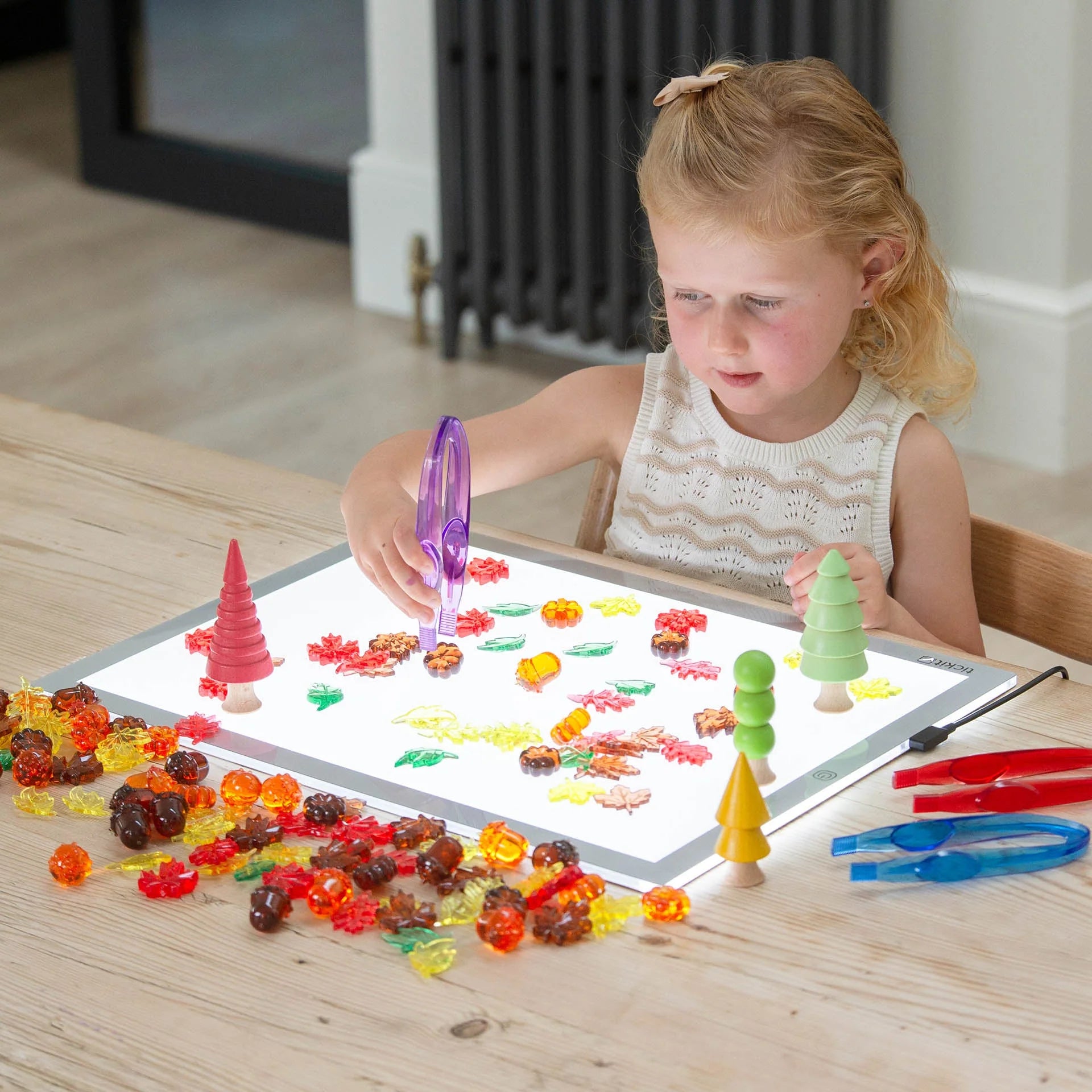 Translucent Colour Leaves & Seeds