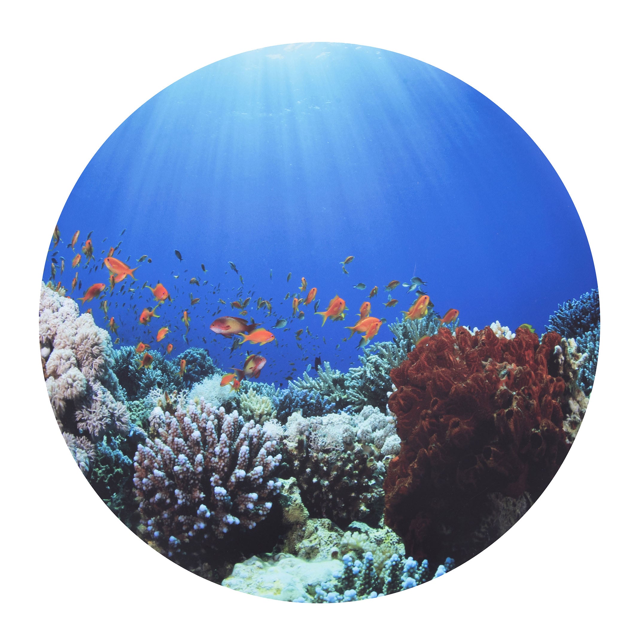 Tickit discovery speelmat onder water