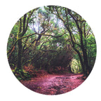 Tickit discovery speelmat in het bos