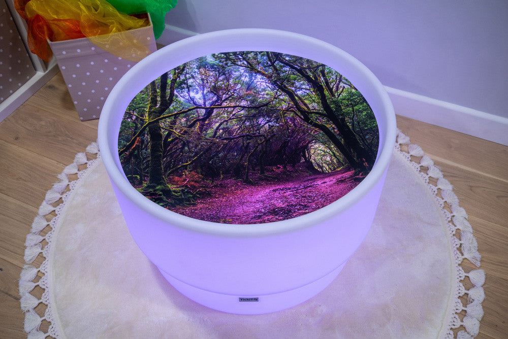 Tickit discovery speelmat in het bos